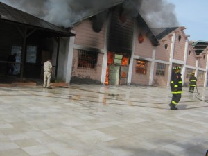 v flores incendios