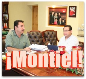 t narciso y montiel socios