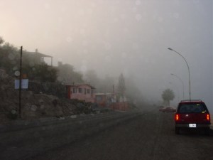 vv flores neblina santa rosalia