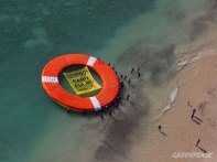 aaa greenpeace cabo pulmo