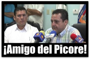 alvaro de la pena angulo