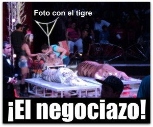 r - circo de miami la paz