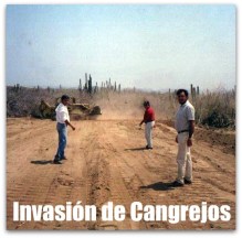 Foto histórica de Narciso Agúndez y su compadre César Uzcanga cuando invadieron Cangrejos, en Cabo San Lucas.