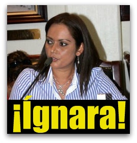 v regidora anel marron