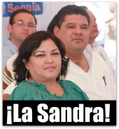 diputada sandra luz elizarraras