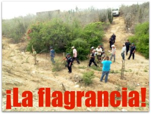 i - invasion en cabo san lucas 2