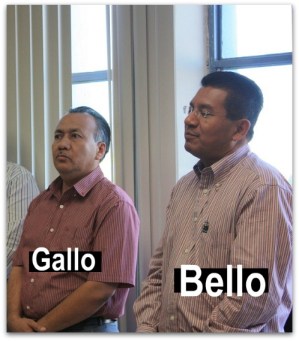 5 bello sosa magistrado gallo