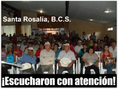 1 estructura del pri en mulegé