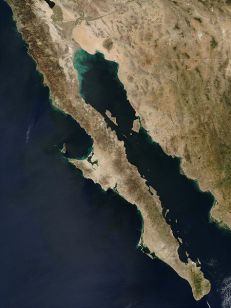 x fede peninsula baja california vista satelite