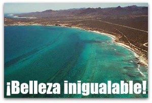 7 cabo cortes baja california sur