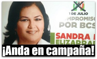 9 diputada sandra luz elizarraras campaña politica