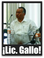 9 magistrado daniel gallo