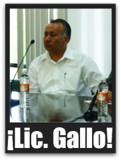 9 magistrado daniel gallo