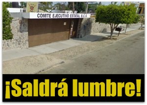 6 prd consejo estatal