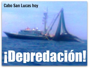 w barco atunero en cabo san lucas