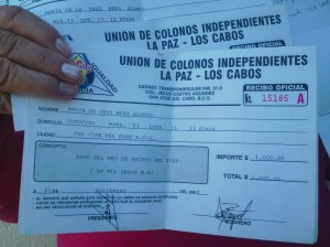 w - 1 fraude predio la ballena denuncia