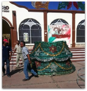 3 - 1 arbol de navidad cabo san lucas
