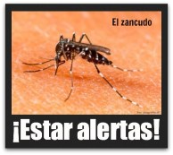 3 - 1 mosco del dengue