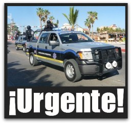 3 - policia estatal preventiva en los cabos 4846