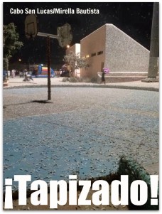 3 - 1 aaaa polilla en cabo san lucas2