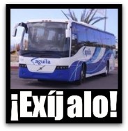 3 - 1 autobus aguila