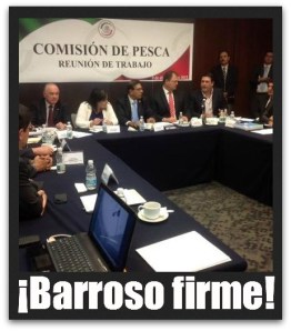 3 - 1 barroso comision de pesca participacion