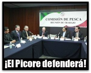 3 - 1 comision de pesca ernesto ruffo appel
