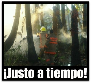 3 - 1 incendio en santiago diciembre 17