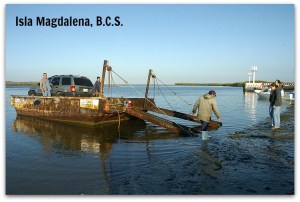 z - isla magdalena 001