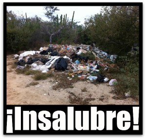 3 - 1 basura en colonia el tezal