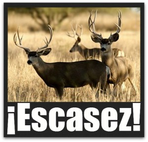 3 - 1 caza de venado bura