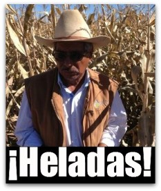 3 - 1 elotes perdida en ranchos de comondu