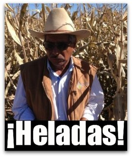 3 - 1 elotes perdida en ranchos de comondu