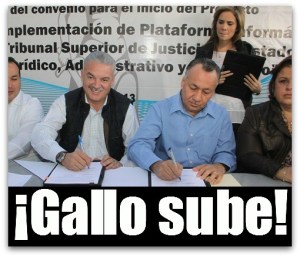 3 - 1 gallo magistrado