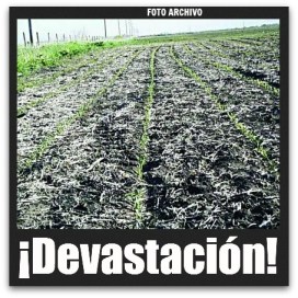 3 - 1 heladas ciudad constitucion