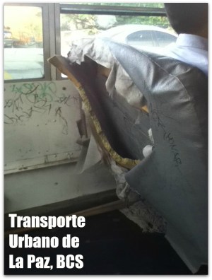 3 - 1 transporte urbano de la paz