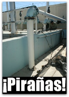 2 - 1 agua potable cabo san lucas cableado