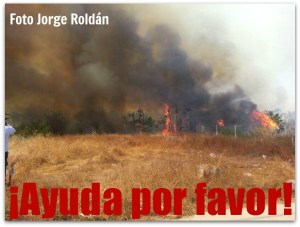 2 - 1 arde todos santos fuera de control