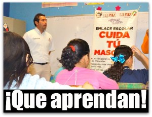 2 - 1 cuida tu mascota