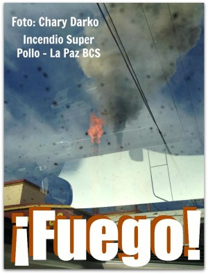 2 - 1 foto de superpollo original