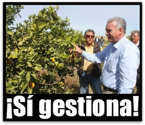 2 - 1 marcos covarrubias con sagarpa