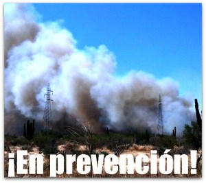 2 - 1 ardio comondu al sur de villa morelos