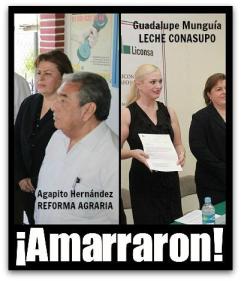 2 - 1 delegados federales ok