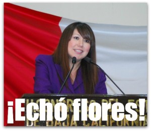 2 - 1 edith aguilar villavicencio diputada lisonjera