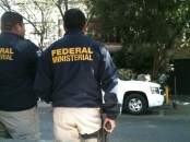 2 - 1 federal ministerial