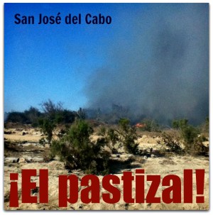 2 - 1 incendio zacatal san jose del cabo