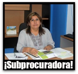 2 - 1 martha cecilia garzon