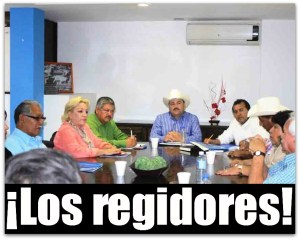 2 - 1 regidores comondu