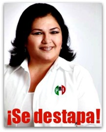 2 - 1 sandra luz diputada asira al pri