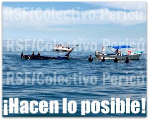 2 - 1 a a ballena en playa el coromuel